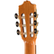 Гитара классическая Alhambra 8.895 Green Sustain Clasical, изображение 6