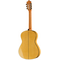 Гитара классическая Alhambra 8.896 Green Sustain Flamenco, изображение 3