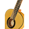 Гитара классическая Alhambra 8.896 Green Sustain Flamenco, изображение 4