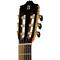Гитара классическая Alhambra 8.896 Green Sustain Flamenco, изображение 5