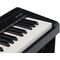 Цифровое пианино Rockdale Nocturne S 256 BK, изображение 5