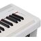 Цифровое пианино Rockdale Nocturne S 256 W, изображение 6