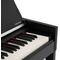 Цифровое пианино Rockdale Virtuoso 256 BK, изображение 6