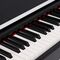 Цифровое пианино Rockdale Virtuoso 256 BK, изображение 9