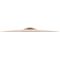 Тарелка Meinl 19" Medium Thin Crash PAC19MTC, изображение 3