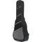 Чехол для акустической гитары Music Area RB20H-DA-BLK, изображение 2