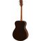 Гитара акустическая Yamaha FS830 DSR, Цвет: Красный, изображение 4