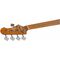 Бас-гитара Jet JB-305 DBL, изображение 3