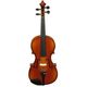 Альт Hora Rhapsody Student A100-16,5
