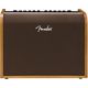 Комбоусилитель Fender Acoustic 100