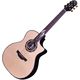 Гитара электроакустическая Crafter SM G-1000ce