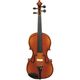 Альт Hora A100-15 Rhapsody Student