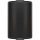 Пассивная акустическая система Tannoy AMS 5ICT
