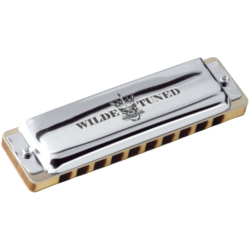 Губная гармошка Seydel Blues 1847 Classic Minor Wilde E: купить в ...